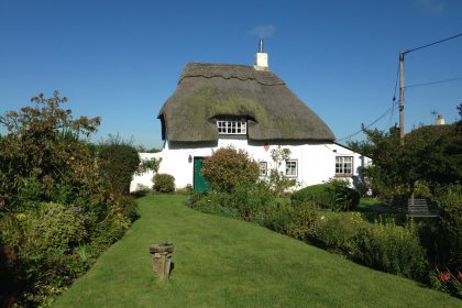 Water Reed Re-Coat - Westmarsh, Canterbury