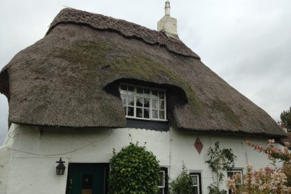 Water Reed Re-Coat - Westmarsh, Canterbury