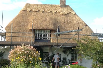 Water Reed Re-Coat - Westmarsh, Canterbury