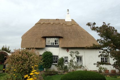 Water Reed Re-Coat - Westmarsh, Canterbury