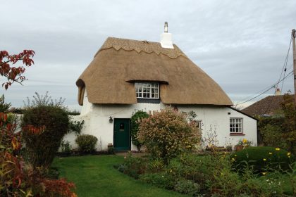 Water Reed Re-Coat - Westmarsh, Canterbury