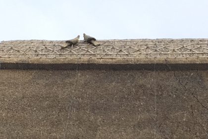 Re-Thatch Barn Conversion - Nonington, Canterbury